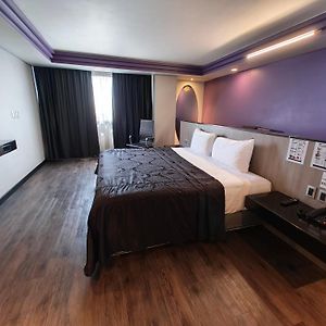 Zimmer mit Kingsize-Bett